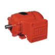 Explosion Proof Motors